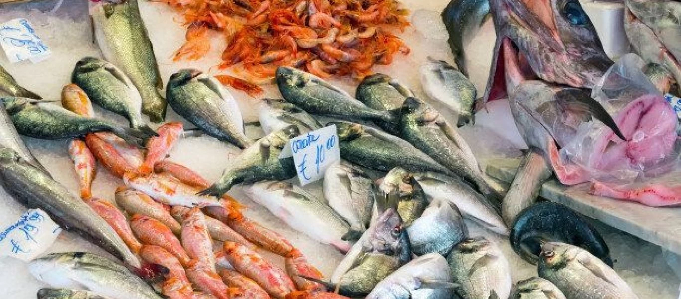 Τα ψάρια και οι εποχές τους: Πότε πρέπει να τρως το καθένα;